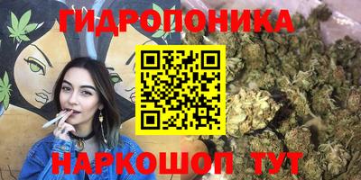 ешки Пушкино